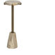 Tamlin 25 X 9 inch Natural / Natural / Antique Brass End Table